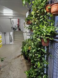 Blk 373 Clementi Avenue 4 (Clementi), HDB 4 Rooms #620143371